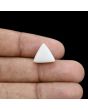 Japani White Coral 7.11 Carat 