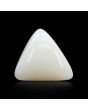 Japani White Coral 8.87 Carat 
