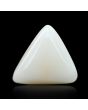 Japani White Coral 8.87 Carat 