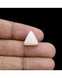 Japani White Coral 8.87 Carat 