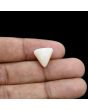 Japani White Coral 8.87 Carat 