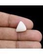 Japani White Coral 6.78 Carat 