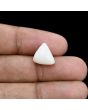 Japani White Coral 6.78 Carat 