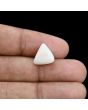 Japani White Coral 6.78 Carat 