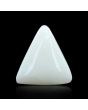 Japani White Coral 7.19 Carat 