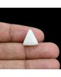 Japani White Coral 7.19 Carat 