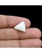 Japani White Coral 7.19 Carat 