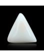 Japani White Coral 6.13 Carat 