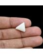 Japani White Coral 6.13 Carat 