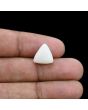 Japani White Coral 6.26 Carat 