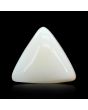 Japani White Coral 6.47 Carat 