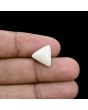 Japani White Coral 6.47 Carat 