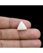 Japani White Coral 6.47 Carat 