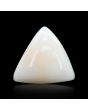 Japani White Coral 6.65 Carat 