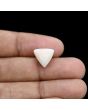 Japani White Coral 6.65 Carat 