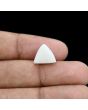 Japani White Coral 6.65 Carat 