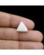 Japani White Coral 5.95 Carat 