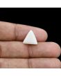 Japani White Coral 5.95 Carat 