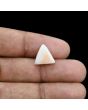 Japani White Coral 5.95 Carat 