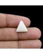 Japani White Coral 6.12 Carat 