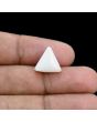 Japani White Coral 6.43 Carat 