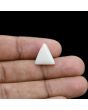 Japani White Coral 6.09 Carat 