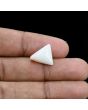 Japani White Coral 6.09 Carat 