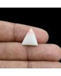 Japani White Coral 6.09 Carat 