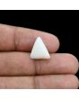 Japani White Coral 6.53 Carat 