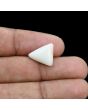 Japani White Coral 6.53 Carat 