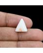 Japani White Coral 6.53 Carat 
