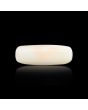 Japani White Coral 7.47 Carat 