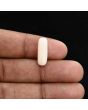 Japani White Coral 6.12 Carat 