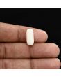 Japani White Coral 6.31 Carat 