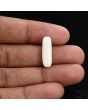 Japani White Coral 6.54 Carat 