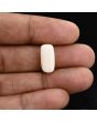 Japani White Coral 7.15 Carat 