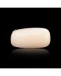Japani White Coral 6.76 Carat 
