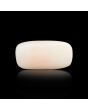 Japani White Coral 6.76 Carat 