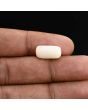 Japani White Coral 7.31 Carat 