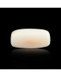 Japani White Coral 6.84 Carat 