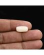 Japani White Coral 6.84 Carat 