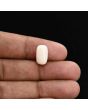 Japani White Coral 4.9 Carat 