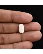 Japani White Coral 4.9 Carat 