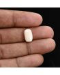 Japani White Coral 5.41 Carat 
