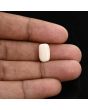 Japani White Coral 5.41 Carat 