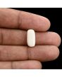 Japani White Coral 6.12 Carat 
