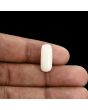 Japani White Coral 8.03 Carat 
