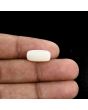 Japani White Coral 6.47 Carat 