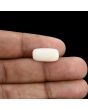 Japani White Coral 7.19 Carat 
