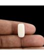 Japani White Coral 7.19 Carat 
